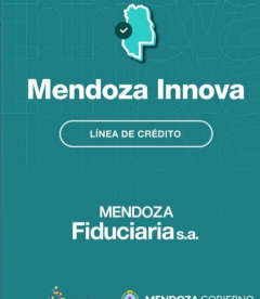 MENDOZA INNOVA